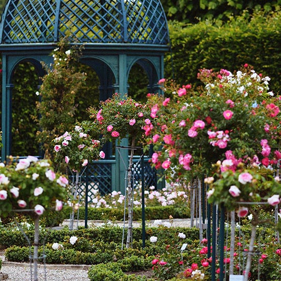 Bougie parfumée Jardin des Roses - Cire et Parfum