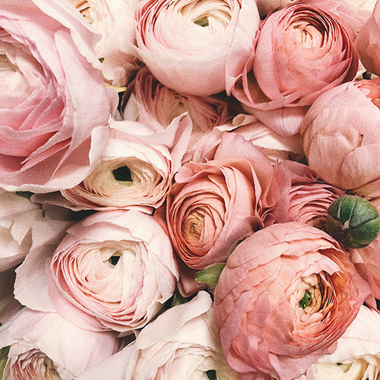 Bougie parfumée Pivoine - Cire et Parfum