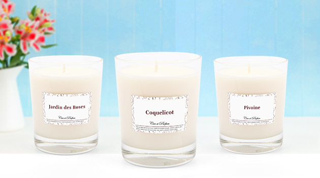 push bougies eglantine